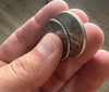 Dual Position Magnetic Coin Set by Ted Bogusta