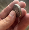 Dual Position Magnetic Coin Set by Ted Bogusta