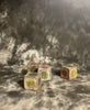 Nick Wenger HAUNTED BLOCKS