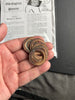 Eddie Gibson Penny Stack