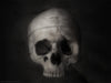 Flesh and Bone by Nathan Kranzo